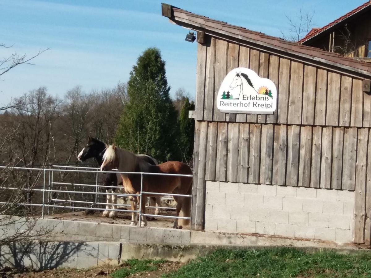 Ferienwohnung Auf Dem Erlebnisreiterhof Kreipl Grattersdorf 外观 照片